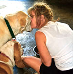 Napa dog care